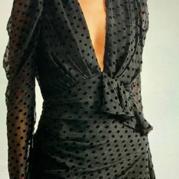 IRO Callagan Asymmetrical Ruffle Silk Mini Dress NWT Size 34, Polka dots - Picture 8 of 10